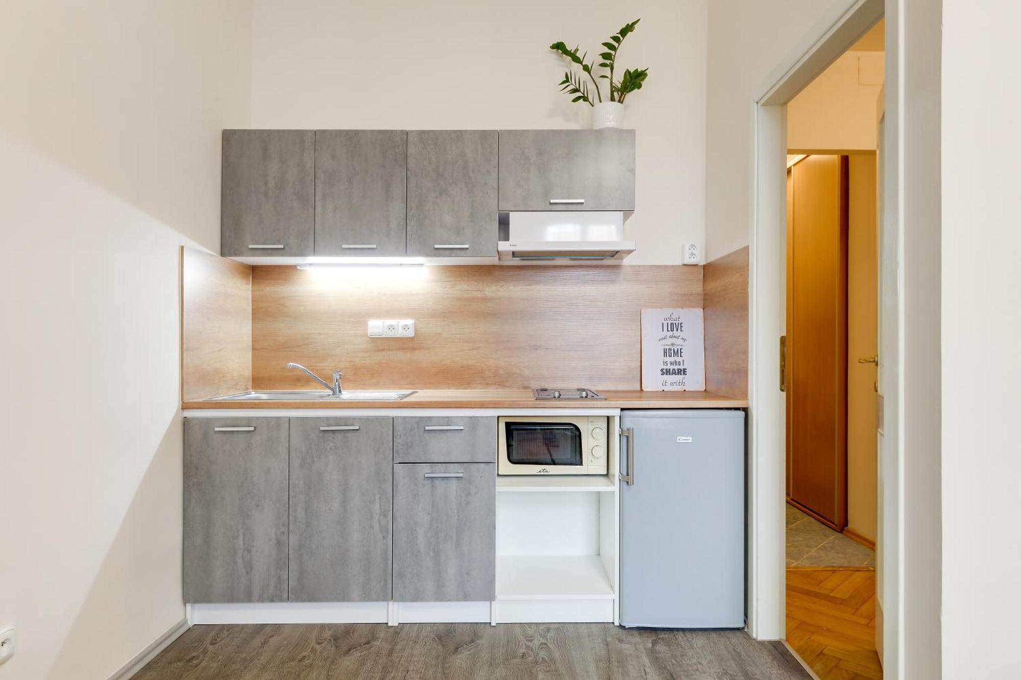 Vita Nejedleho apartments Praag Buitenkant foto
